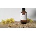 Love Oil All-Natural Body Oil by Playthings